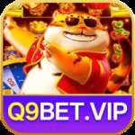 q9bet Premium - Free Download